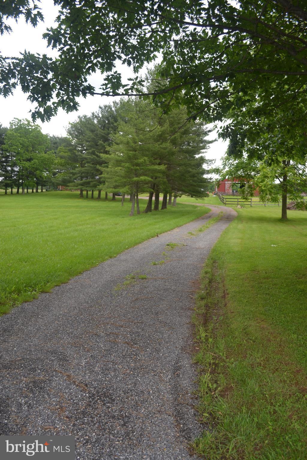 4015 Harney Road Taneytown, MD 21787 - Photo 1 of 11 Driveway