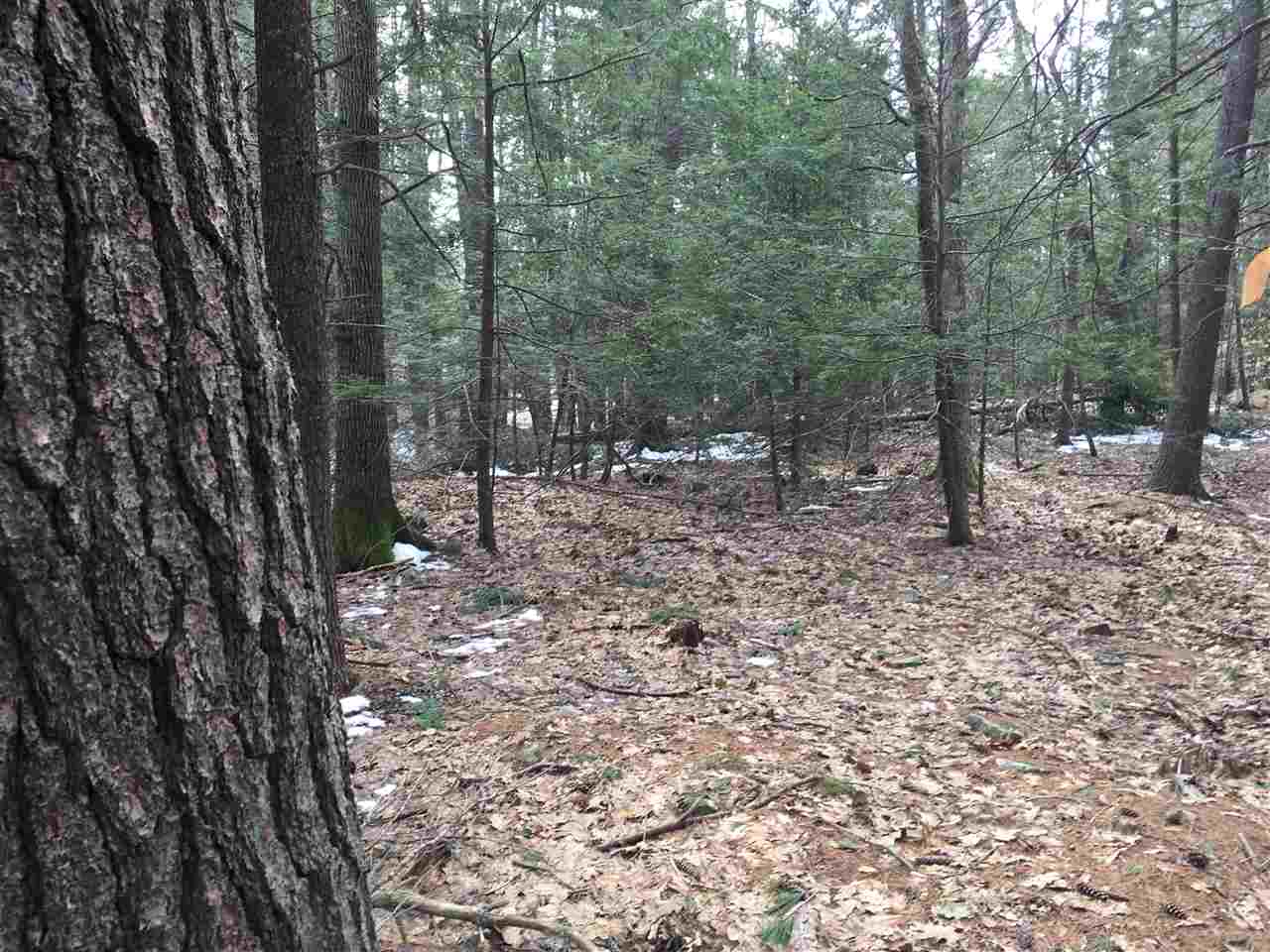 156 Sagamore Road Rye, NH 03870 - Photo 2 of 4