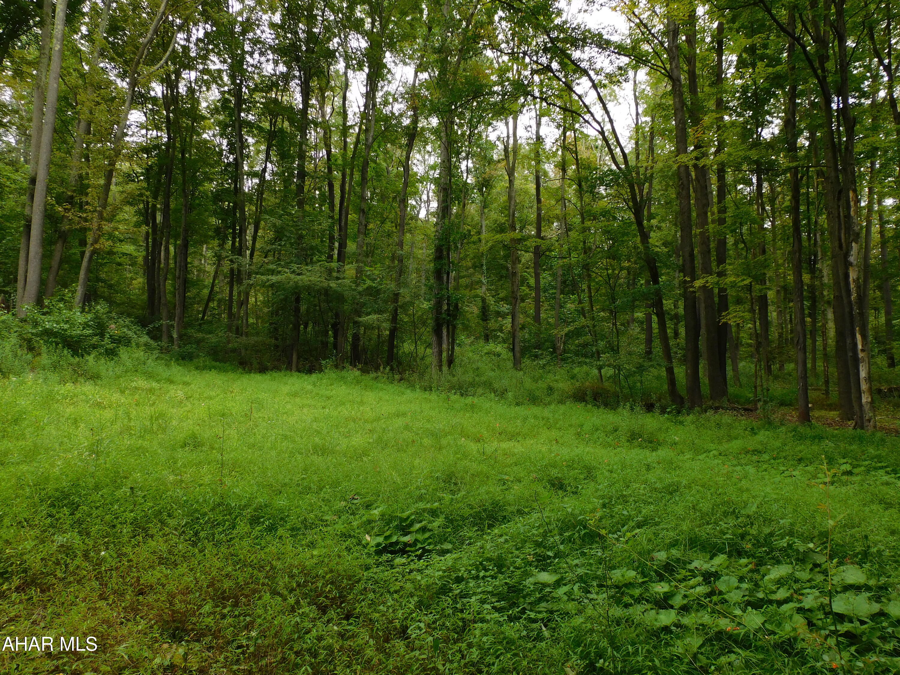 0 Gallitzin Road Cresson, PA 16630 - Photo 3 of 5 Gallery Image 3
