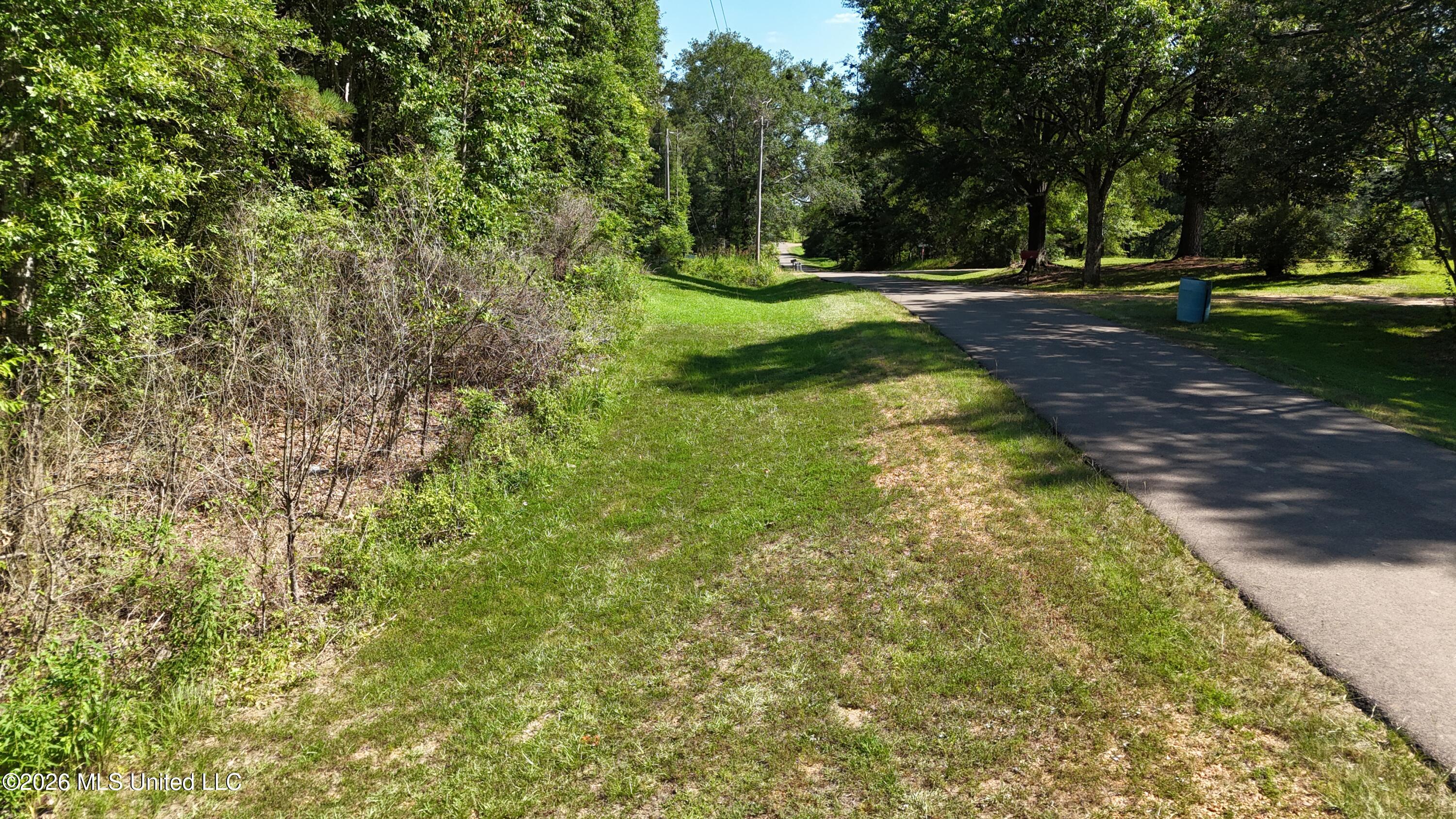 Willow Way Flora, MS 39071 - Photo 1 of 13 dji_fly_20260609_160512_0298_17811115710