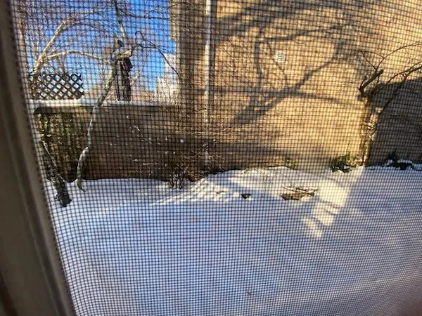 $3,800 | 1626 South Luther Avenue, Oakbrook Terrace, IL 60181