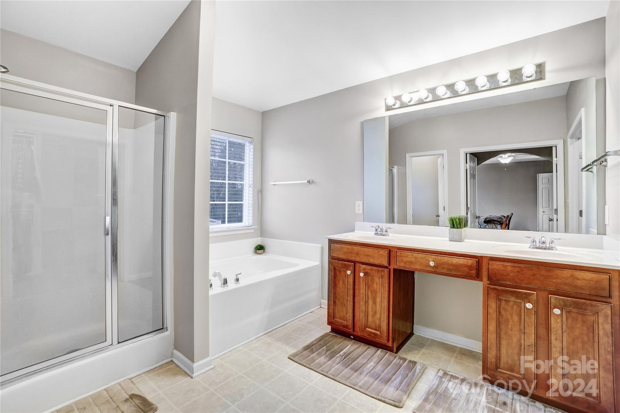 14432 Whistling Swan Road Charlotte, NC 28278 - Photo 16 of 28 a spacious bathroom with a tub sink and mirror
