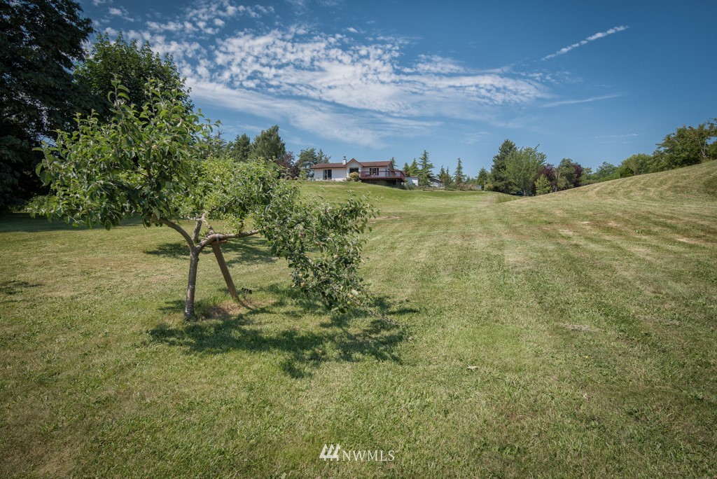 2497 Mountain View Road Ferndale, WA 98248 - Photo 24 of 32