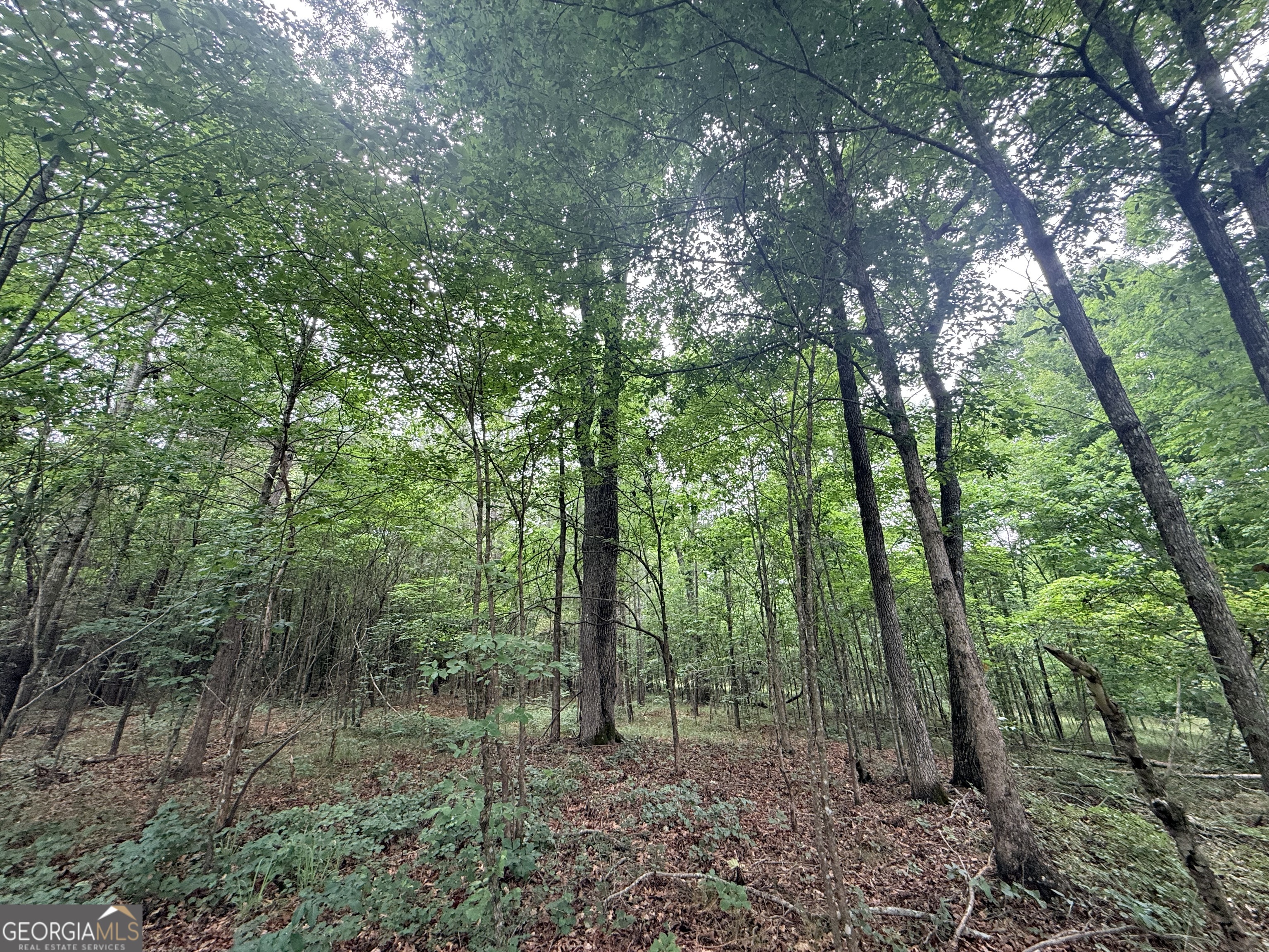 1 Bethesda Church Road Lexington, GA 30648 - Photo 26 of 78