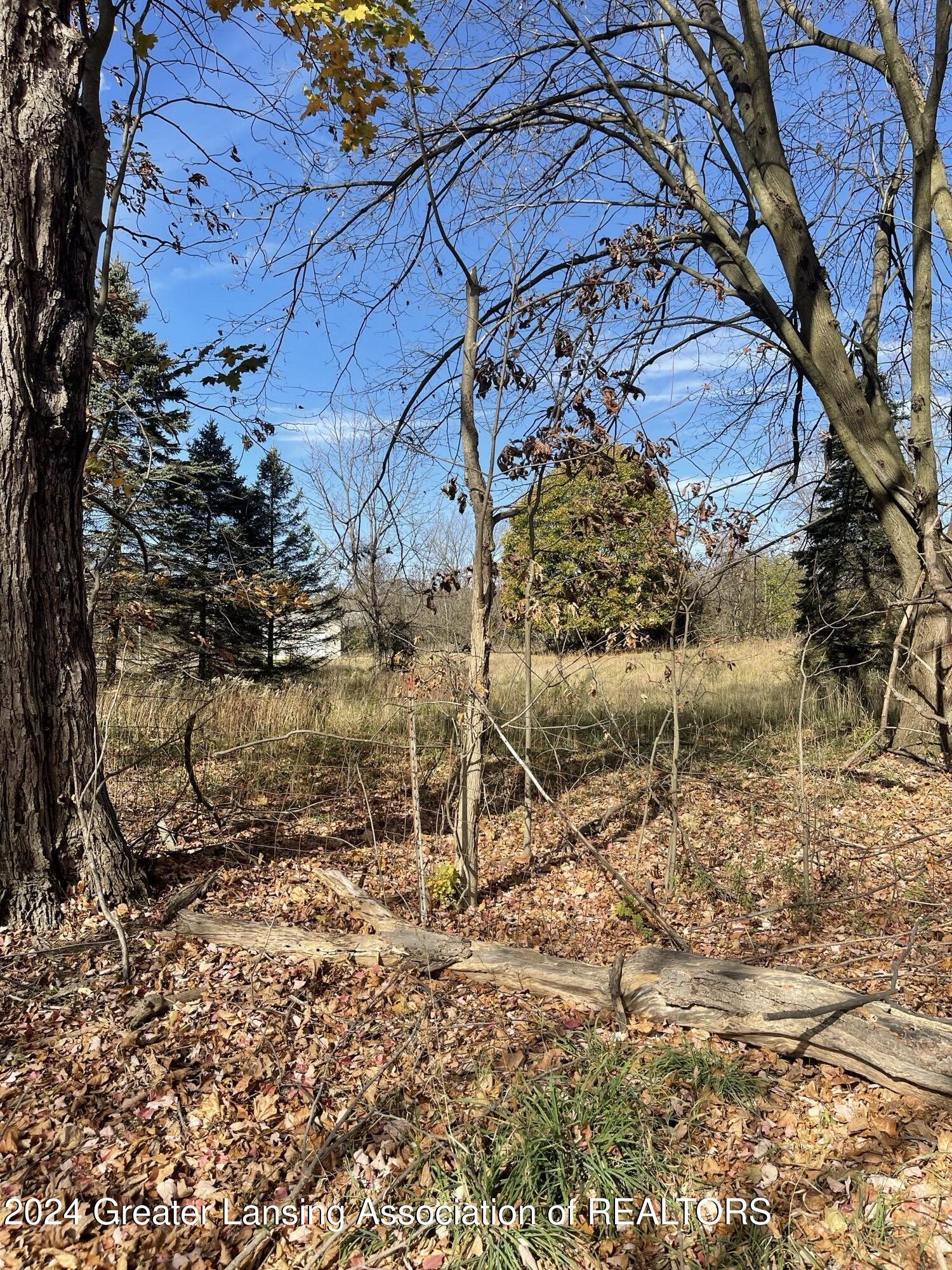 8775 Huff Road Bellevue, MI 49021 - Photo 6 of 16 06