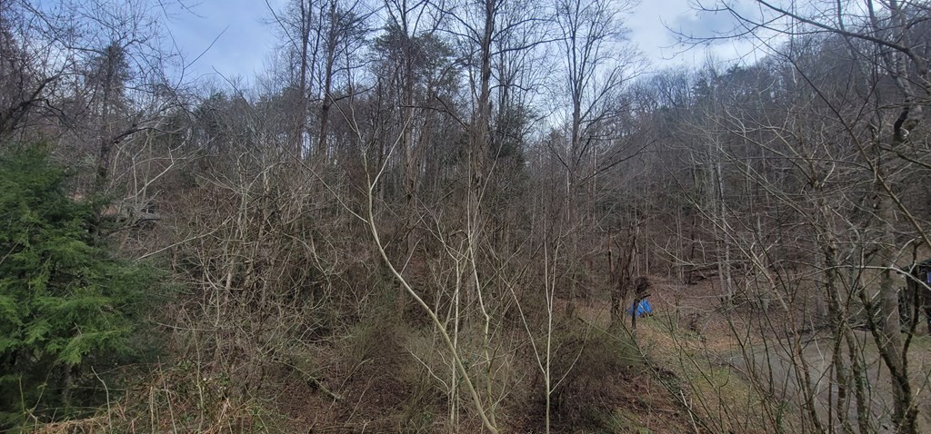 0 Newman Road Gatlinburg, TN 37738 - Photo 7 of 12