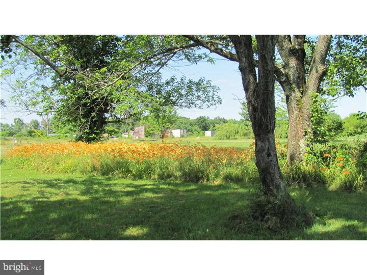420 West Thatcher Road Quakertown, PA 18951 - Photo 15 of 24 Front Yard