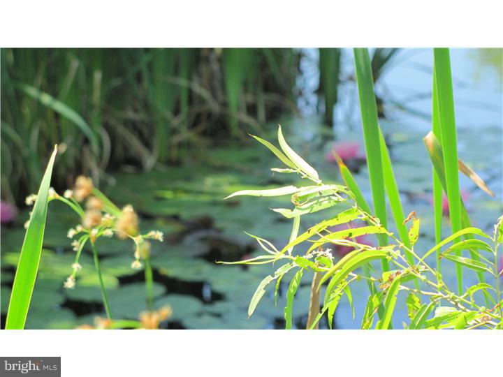 420 West Thatcher Road Quakertown, PA 18951 - Photo 23 of 24 Lake / Pond