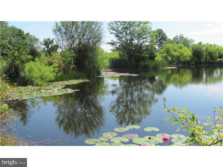 420 West Thatcher Road Quakertown, PA 18951 - Photo 4 of 24 Lake / Pond