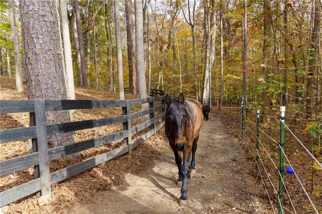 $1,395,000 | 352 Woodmont Court, Canton, GA 30115