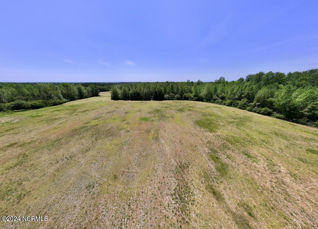 0 Fire Tower Road Jackson, NC 27845 - Photo 26 of 31 27
