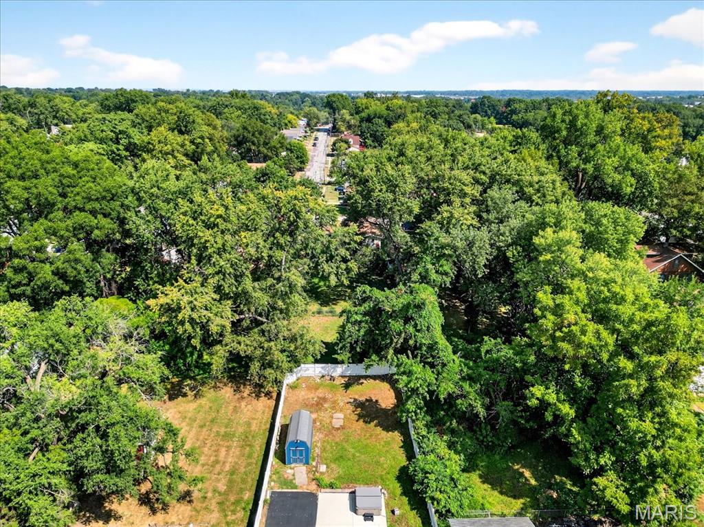 8511 Renz Avenue St. Louis, MO 63114 - Photo 55 of 62