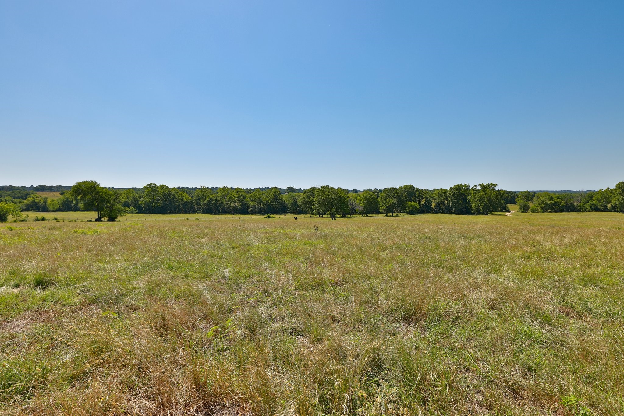 305 Rd Navasota Tx 77868 Road Navasota, TX 77868 - Photo 13 of 22 a view of a lake with houses in the back