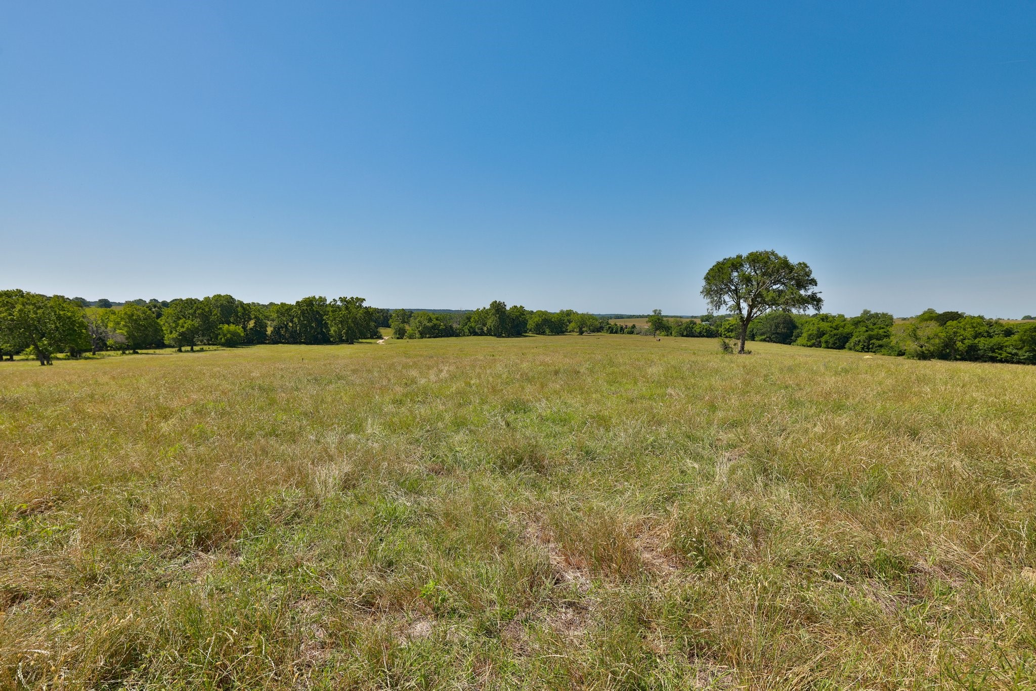 305 Rd Navasota Tx 77868 Road Navasota, TX 77868 - Photo 14 of 22 a view of a lake