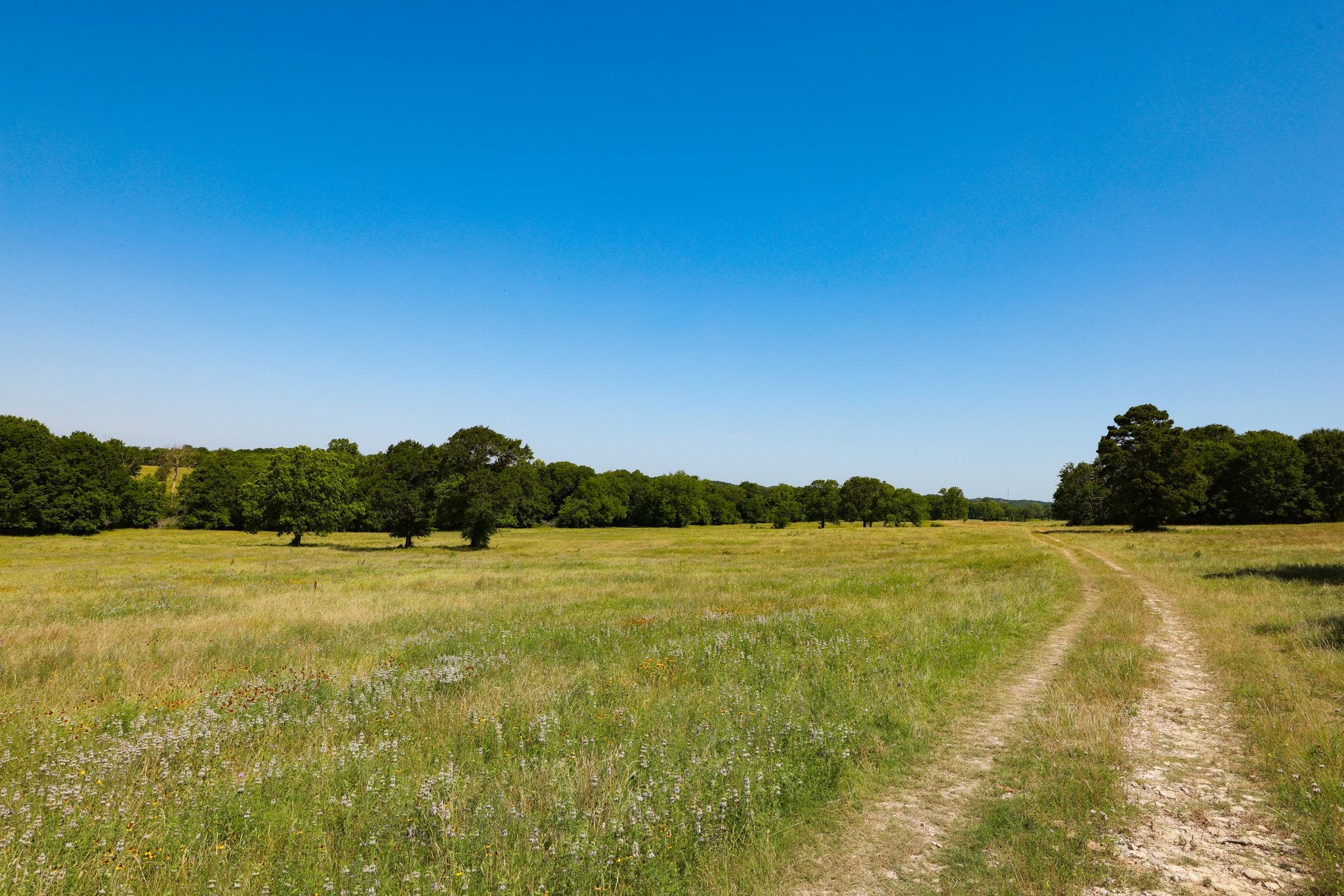305 Rd Navasota Tx 77868 Road Navasota, TX 77868 - Photo 22 of 22 a view of an ocean from a mountain