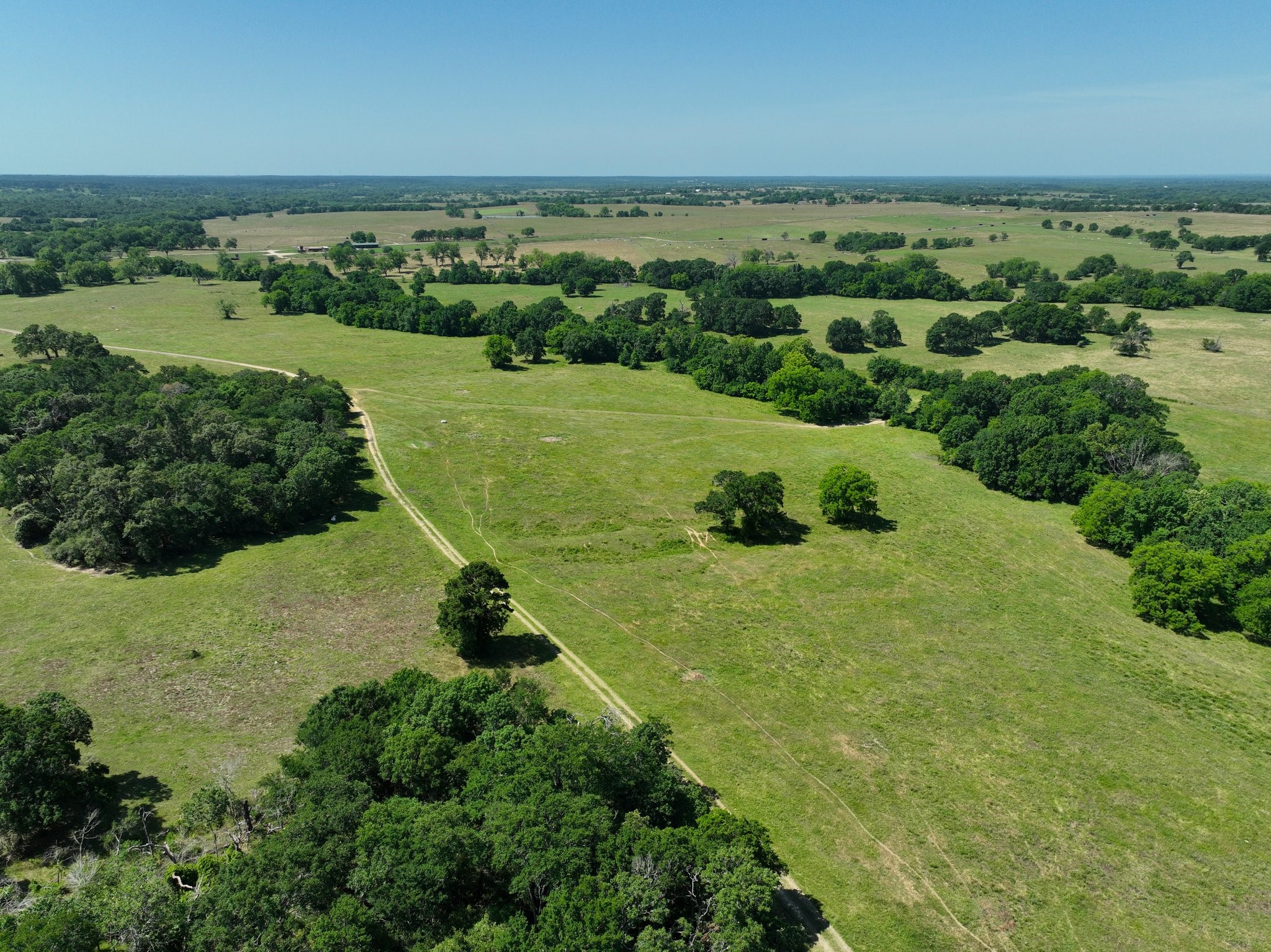 305 Rd Navasota Tx 77868 Road Navasota, TX 77868 - Photo 3 of 22 a view of a garden with an outdoor space