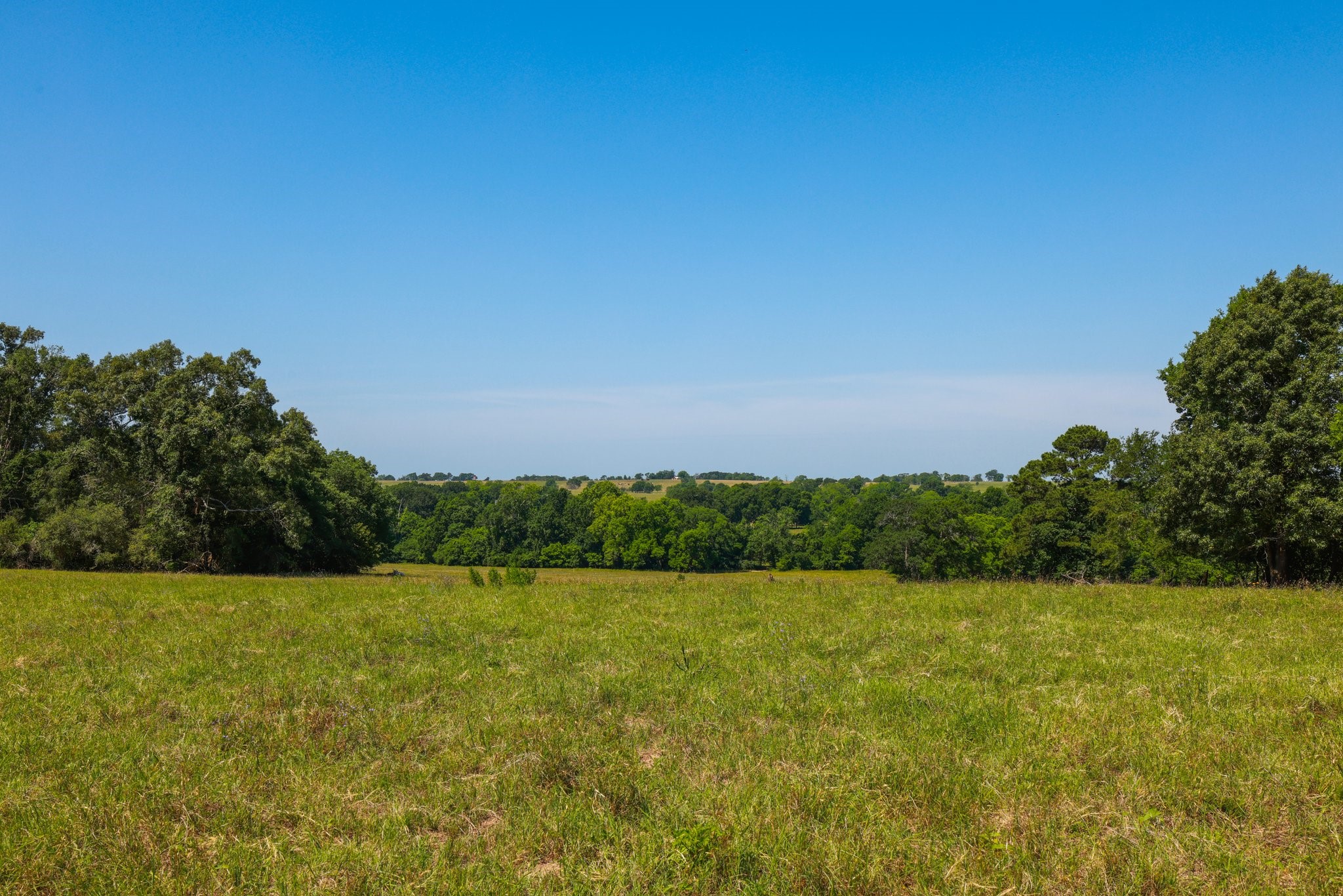 305 Rd Navasota Tx 77868 Road Navasota, TX 77868 - Photo 6 of 22 a view of a lake with houses in the back