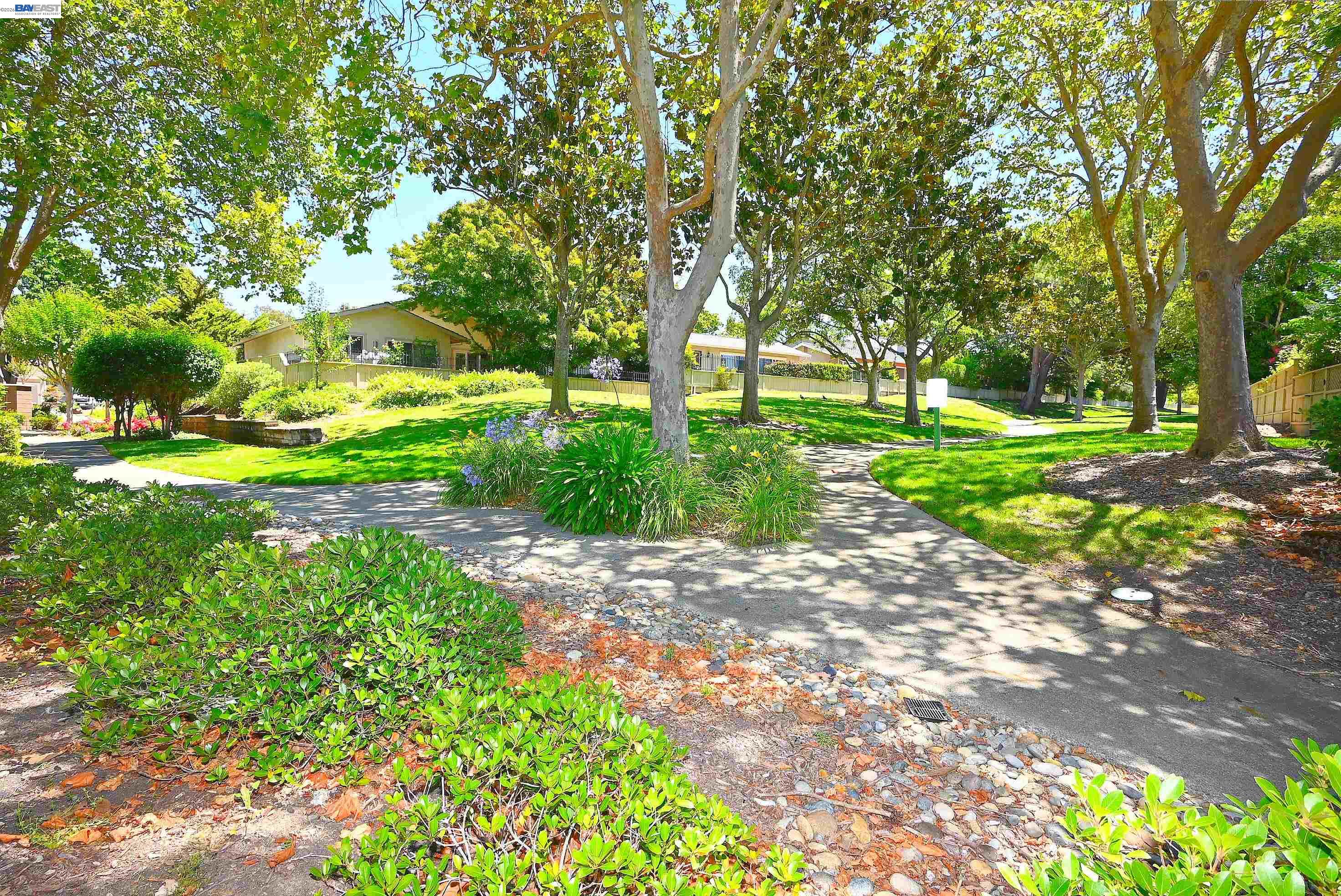 1822 St George Road Danville, CA 94526 - Photo 9 of 47