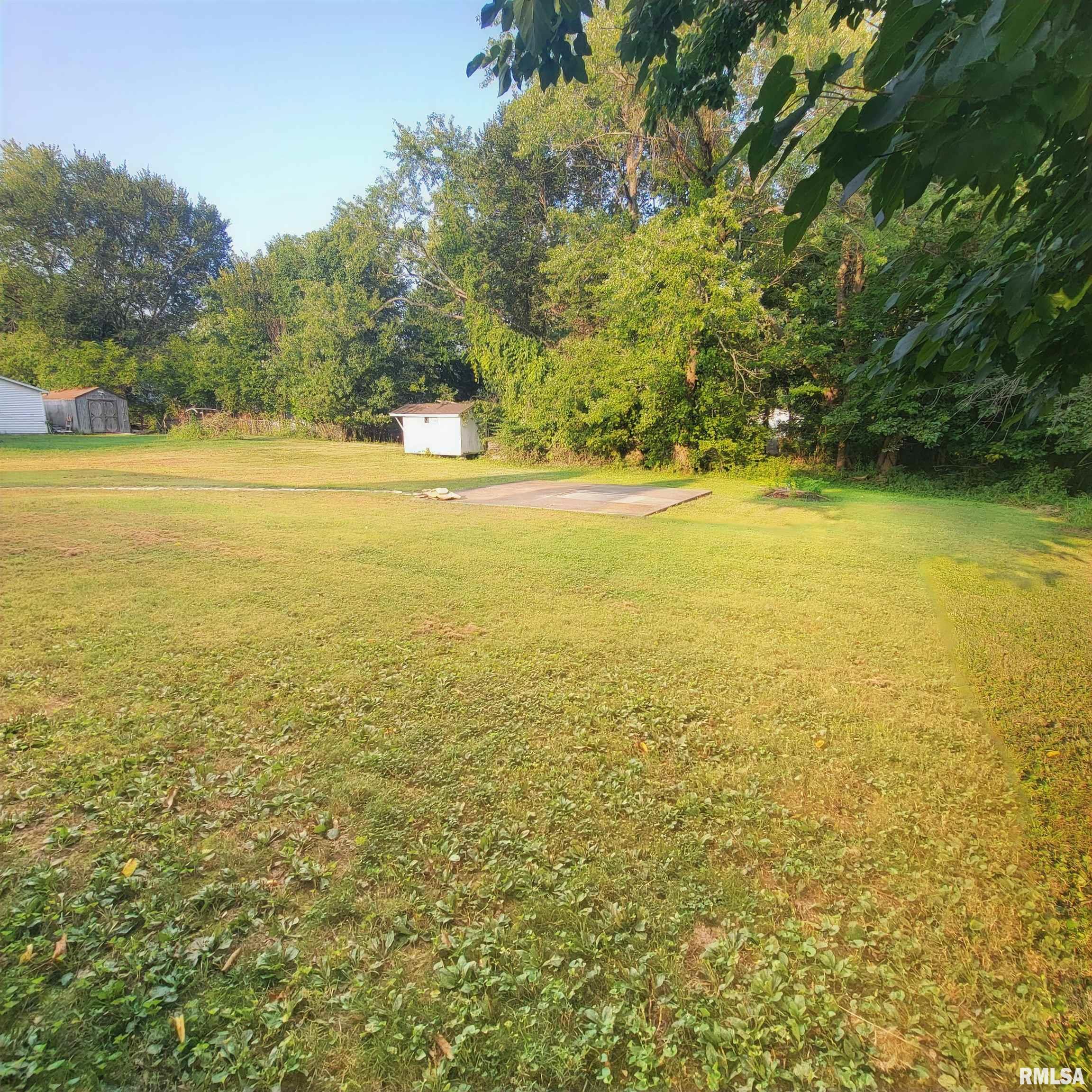 306 North Chestnut Street Christopher, IL 62822 - Photo 23 of 26 Gallery Image 23