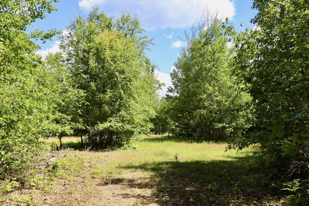 4473 Hamilton Drive Harrison, MI 48625 - Photo 48 of 77 36