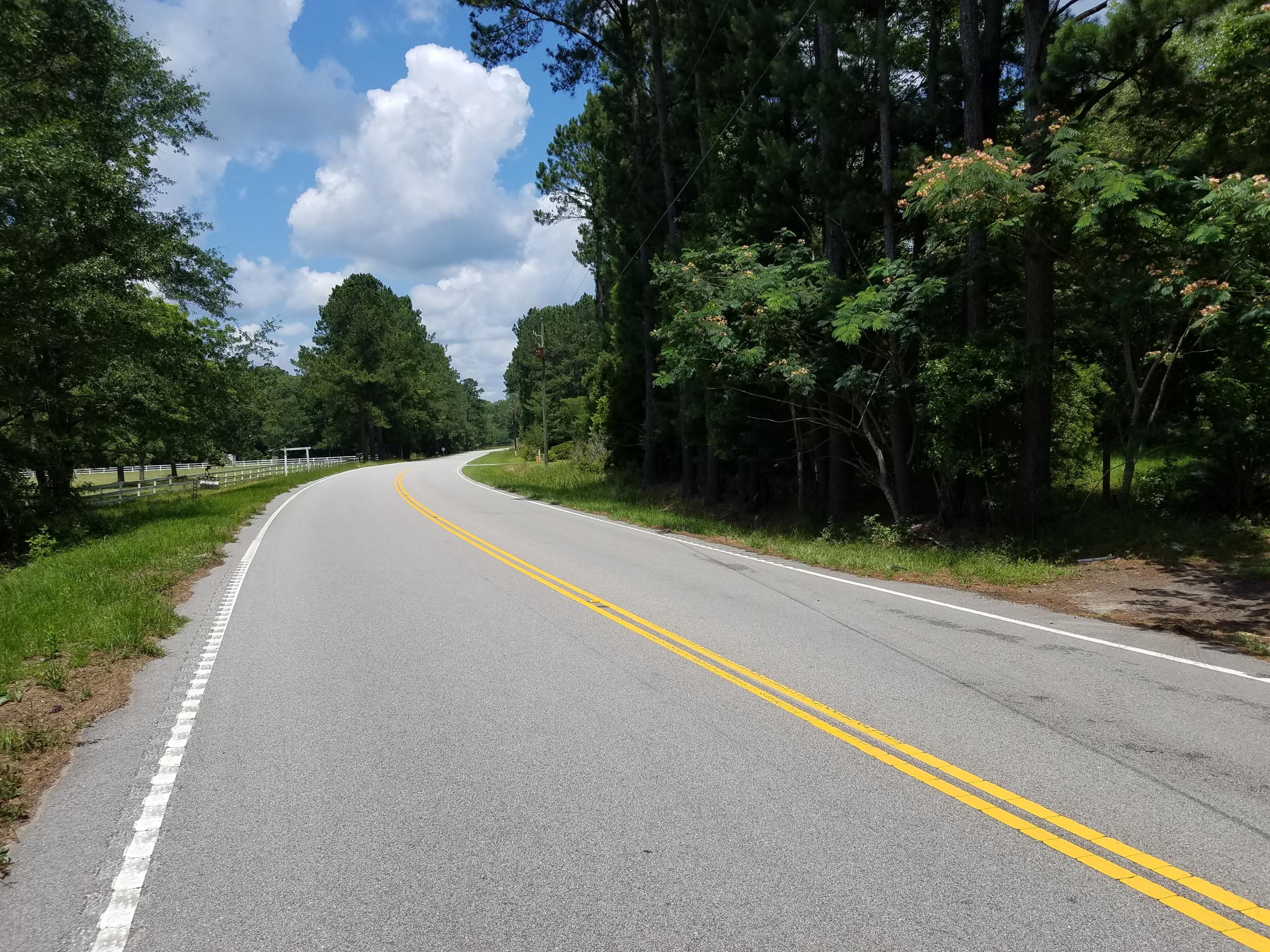 404 McLeod Road Walterboro, SC 29488 - Photo 12 of 14 20200605_122537