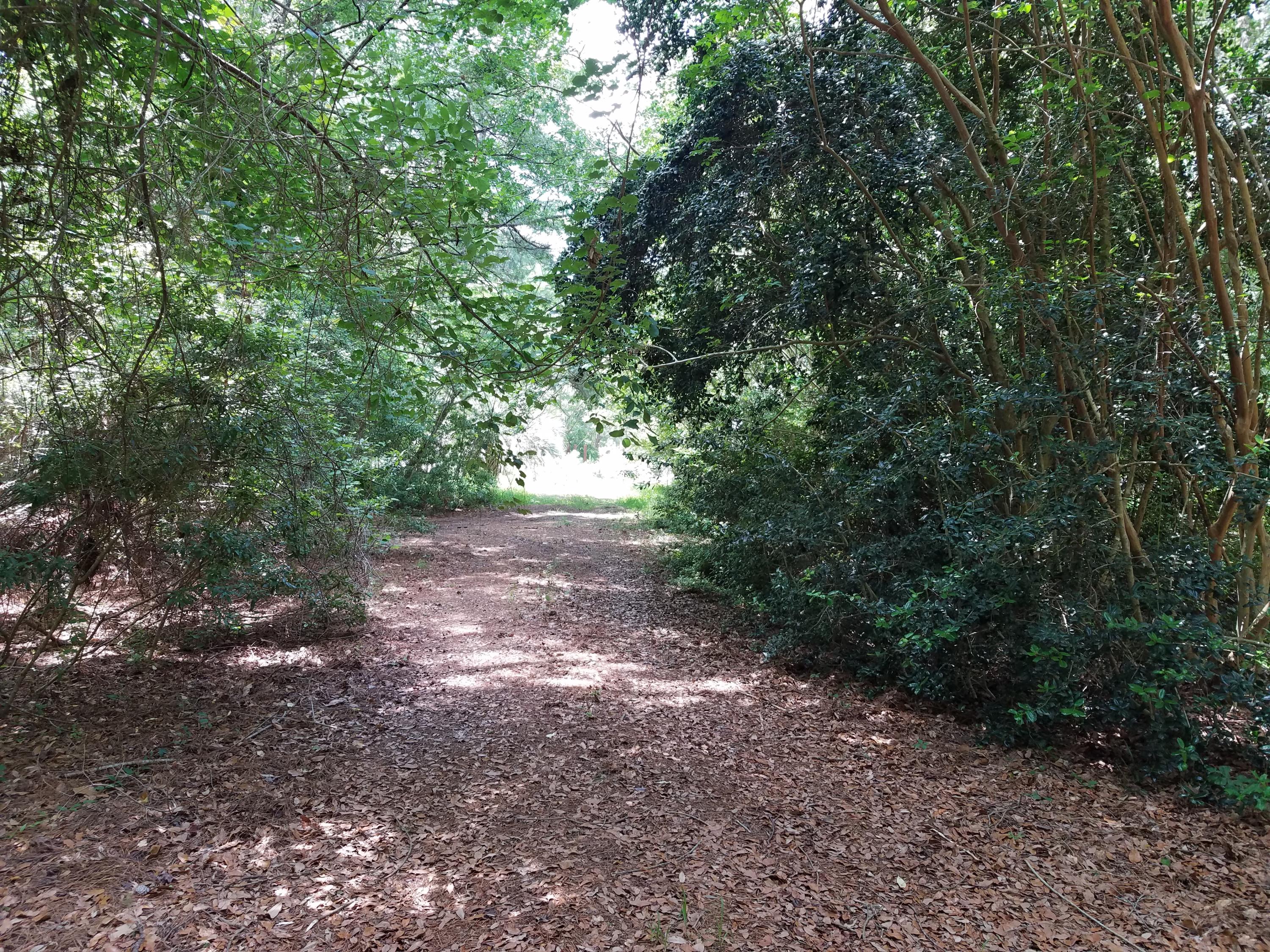 404 McLeod Road Walterboro, SC 29488 - Photo 7 of 14 20200605_122318 - Copy