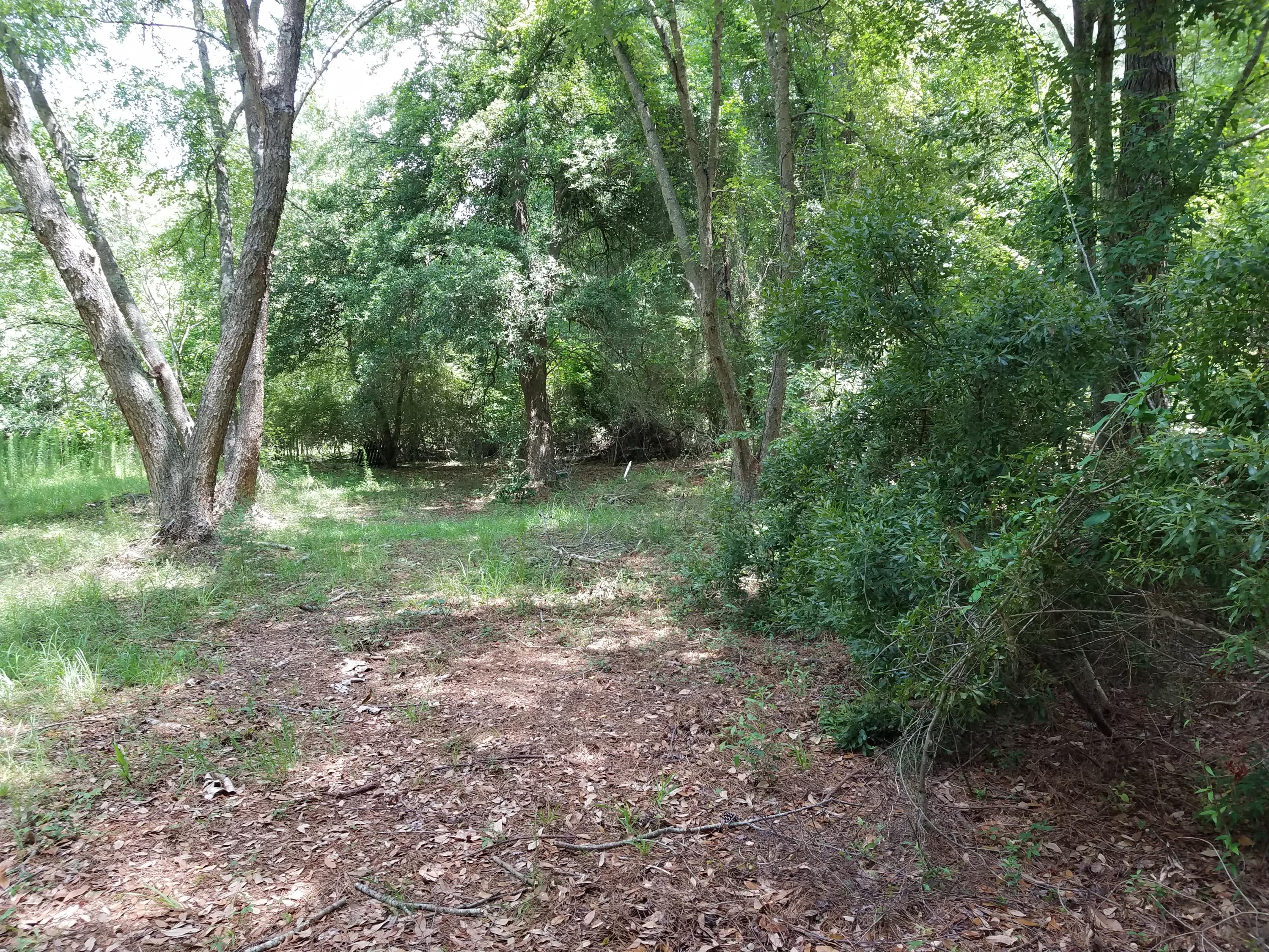 404 McLeod Road Walterboro, SC 29488 - Photo 9 of 14 20200605_122331
