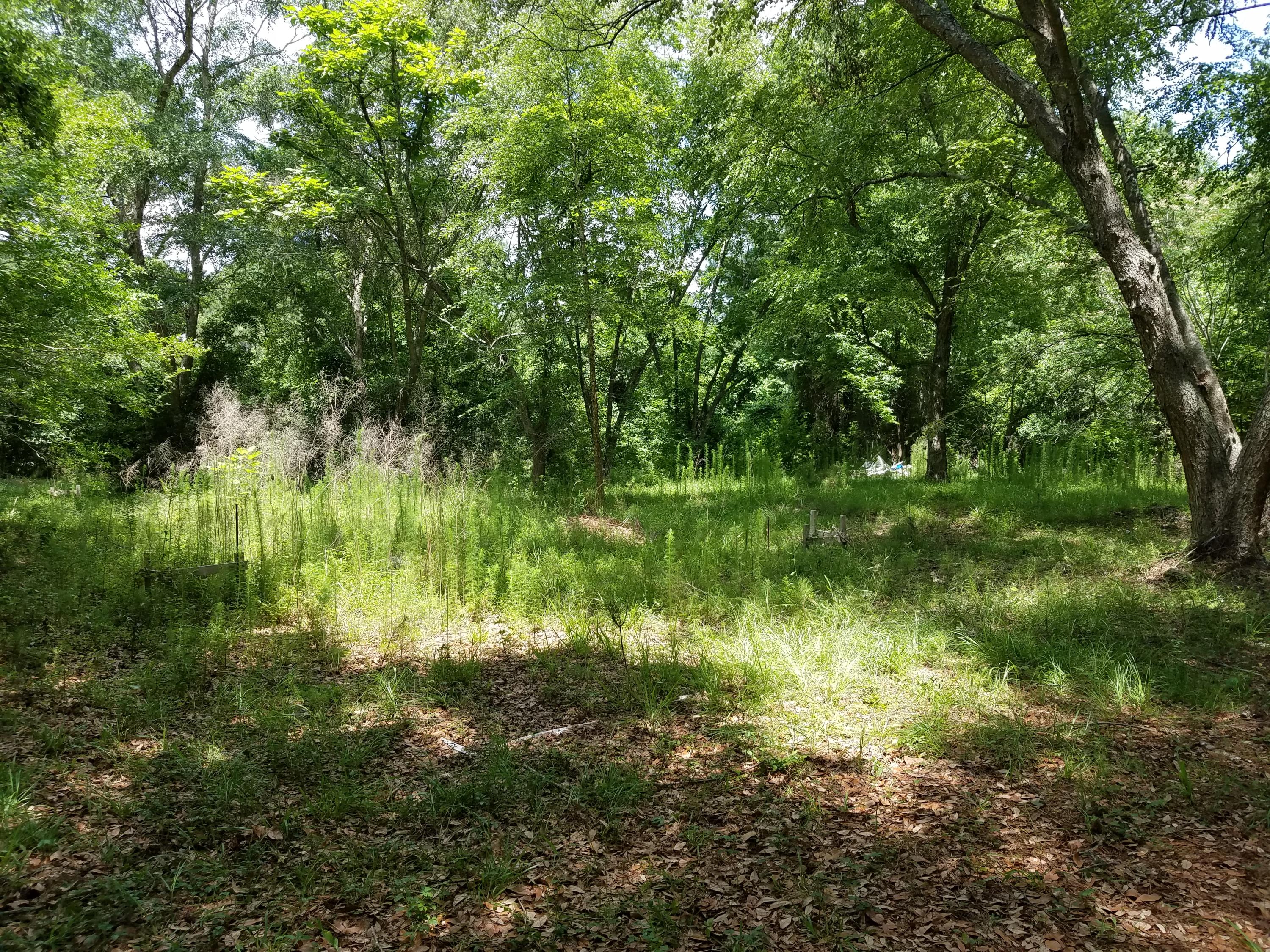 404 McLeod Road Walterboro, SC 29488 - Photo 10 of 14 20200605_122339