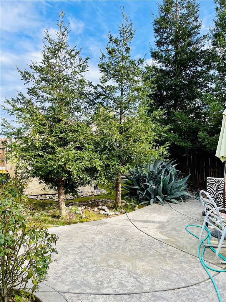 4861 Langley Way Merced, CA 95348 - Photo 24 of 24