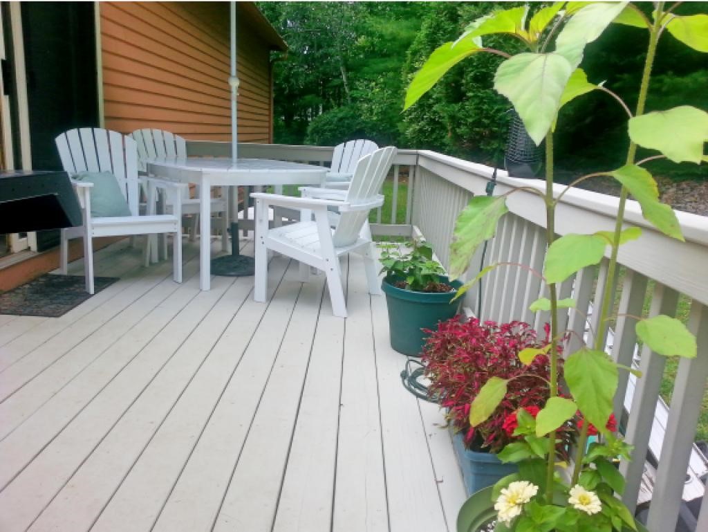 12 Lorri Road Derry, NH 03038 - Photo 2 of 22
