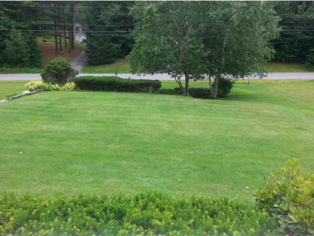12 Lorri Road Derry, NH 03038 - Photo 22 of 22