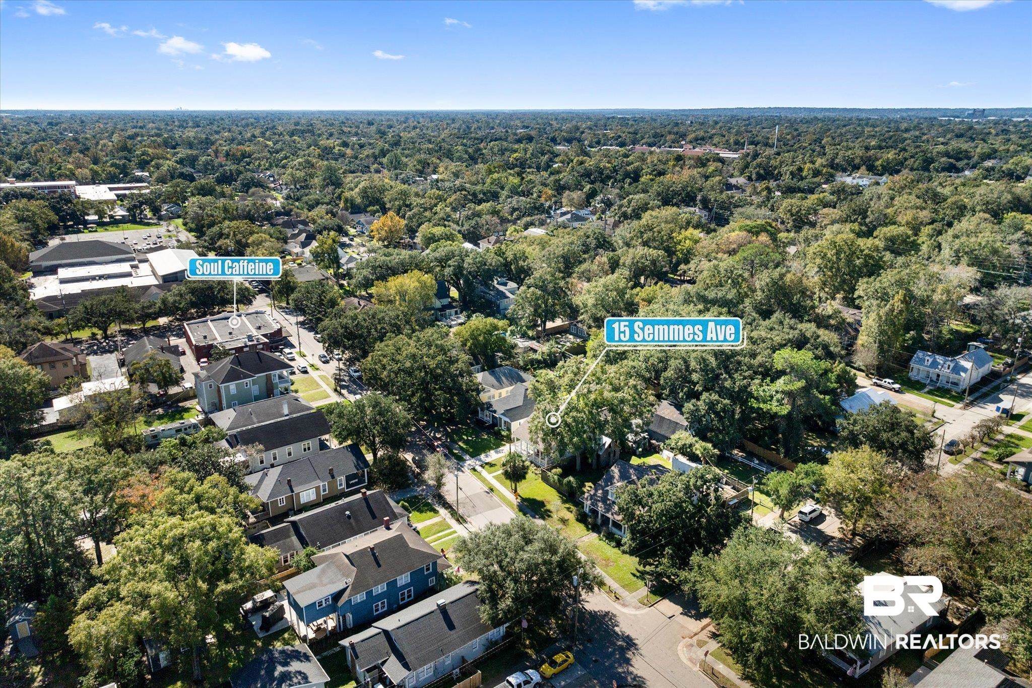 15 Semmes Avenue Mobile, AL 36604 - Photo 35 of 43 Bird's eye view