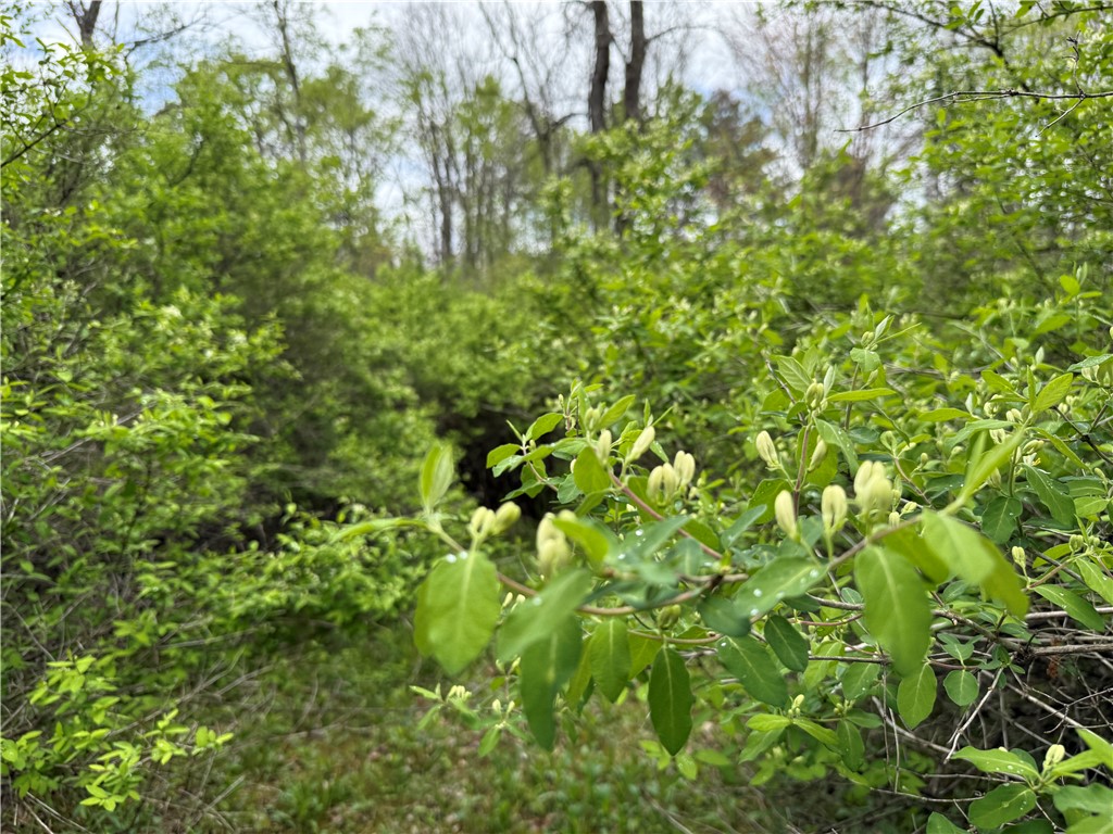 Caswell Road Freeville, NY 13068 - Photo 14 of 47