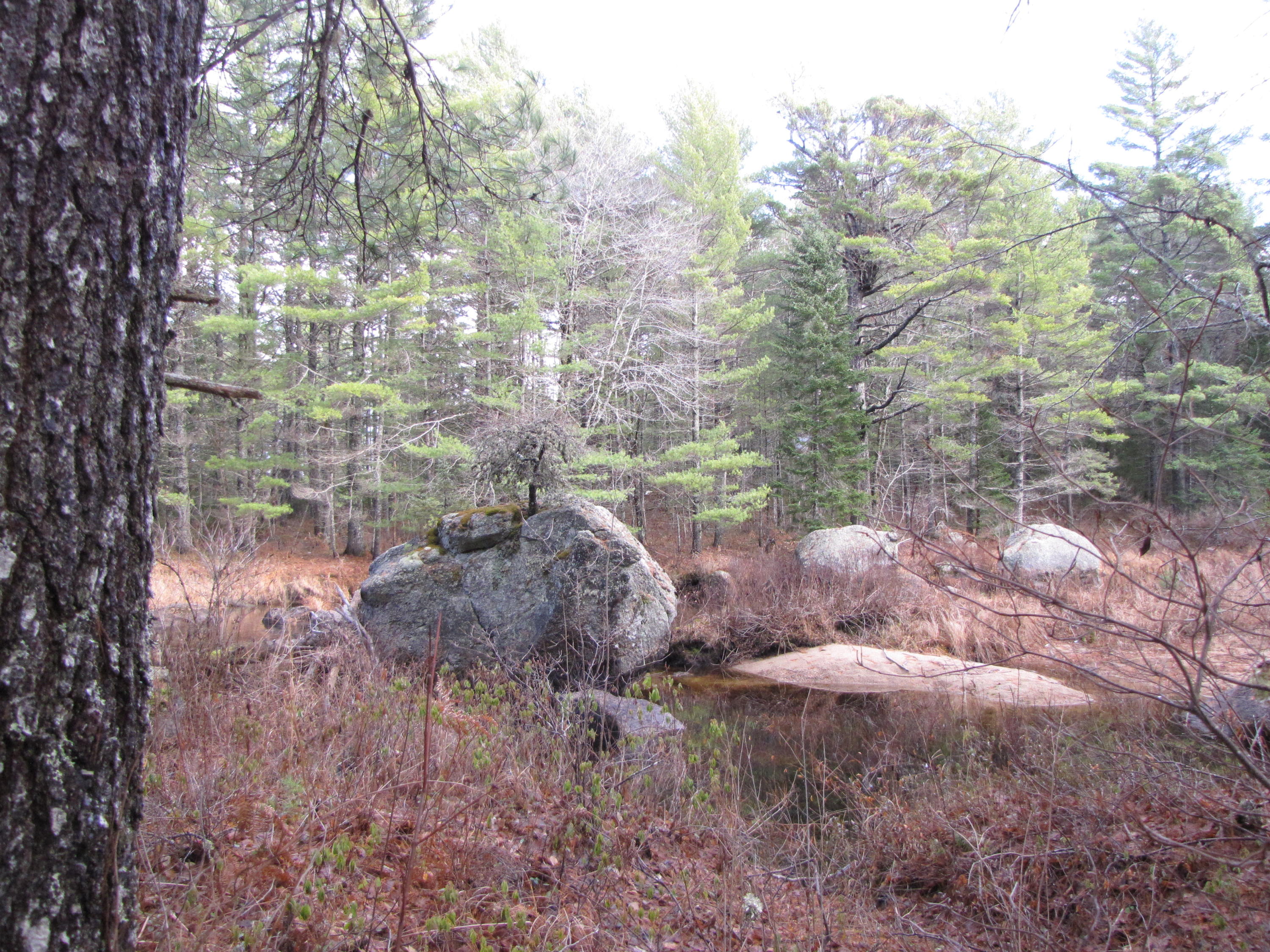 X X Off Ccc Road Machias, ME 04654 - Photo 19 of 57 IMG_1619