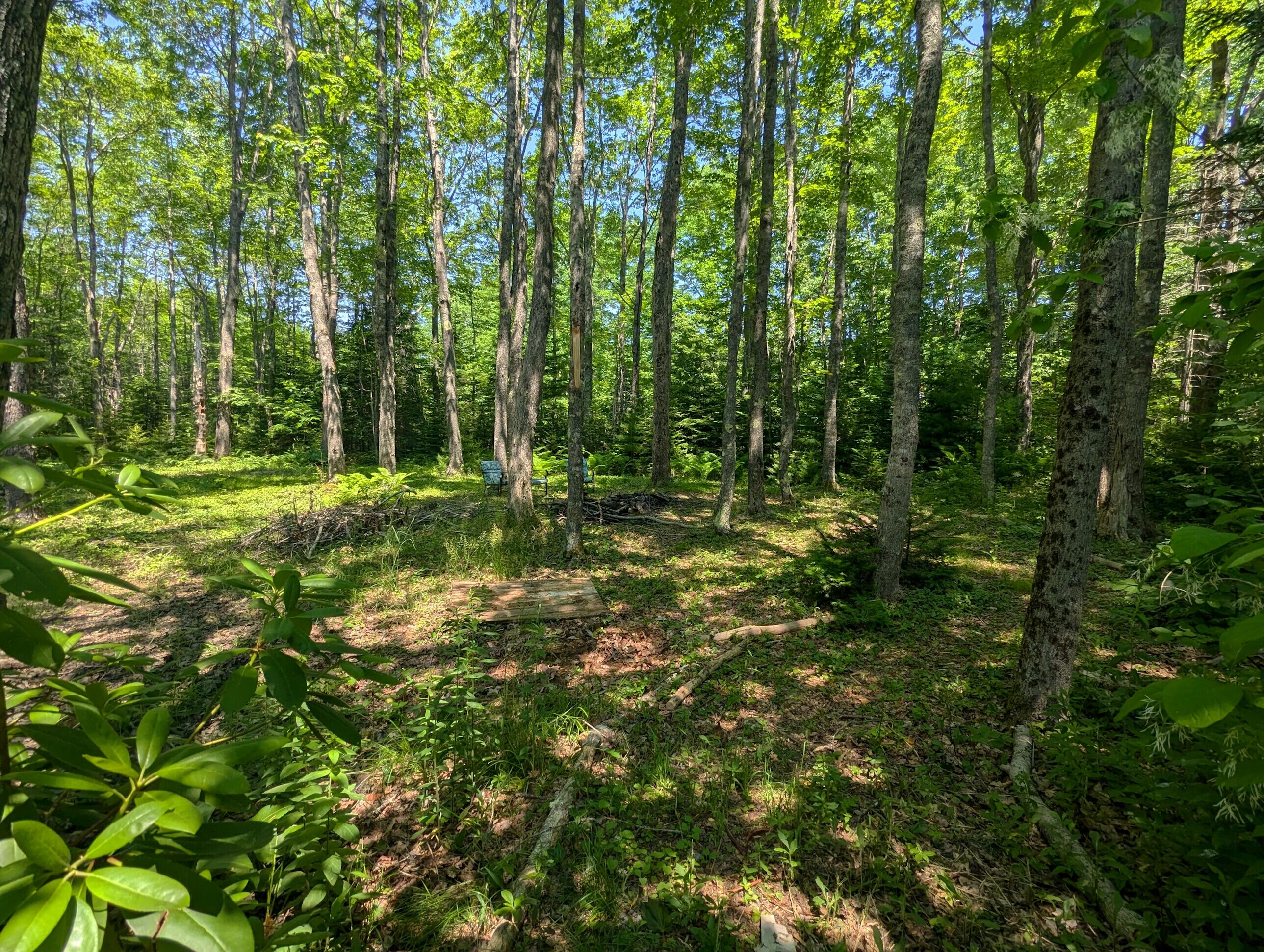 8 Red Fern Road Trenton, ME 04605 - Photo 20 of 70 2024-06-20_10.03.30