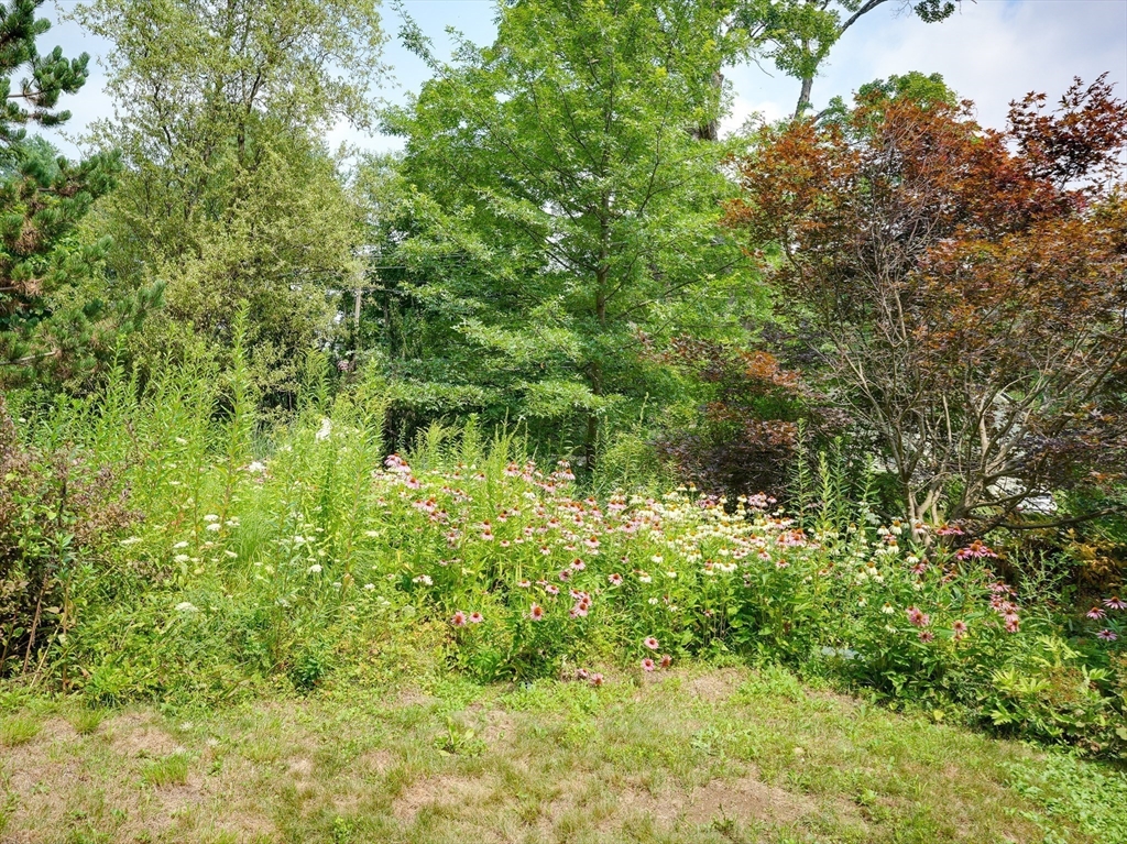 746 Main Street Bolton, MA 01740 - Photo 30 of 32 Gallery Image 30
