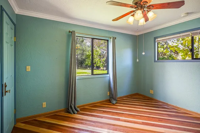 a view of a yard with a fountain