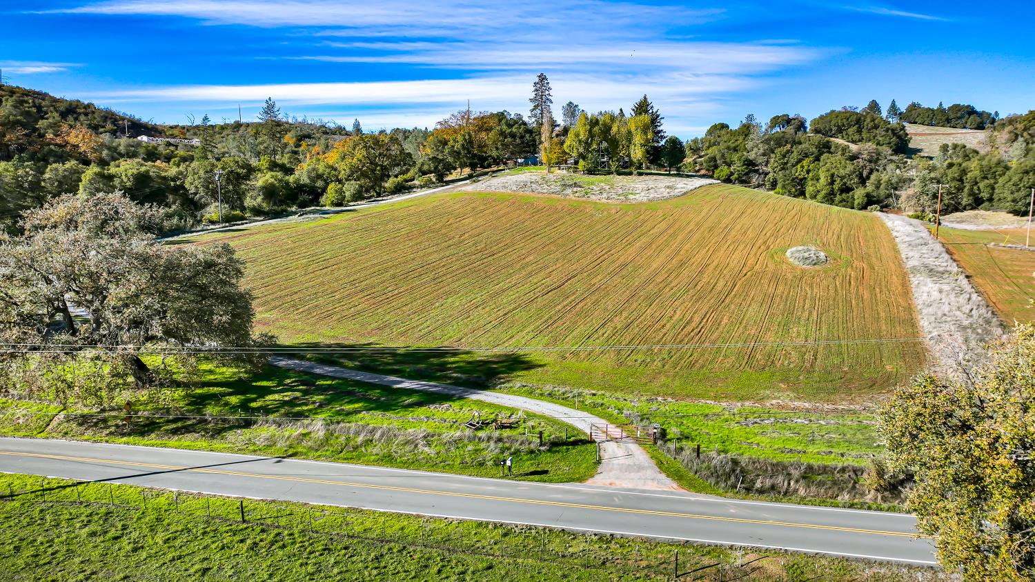 6612 Michel Road Mountain Ranch, CA 95246 - Photo 3 of 78 a view of a yard