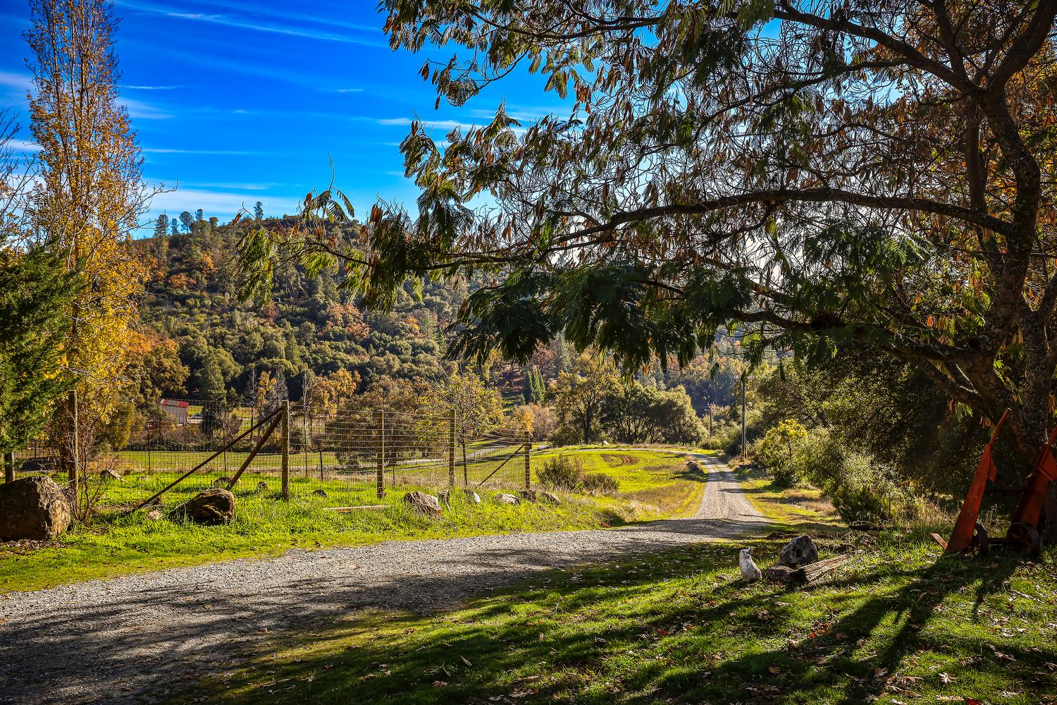 6612 Michel Road Mountain Ranch, CA 95246 - Photo 46 of 78 a view of a yard with swimming pool