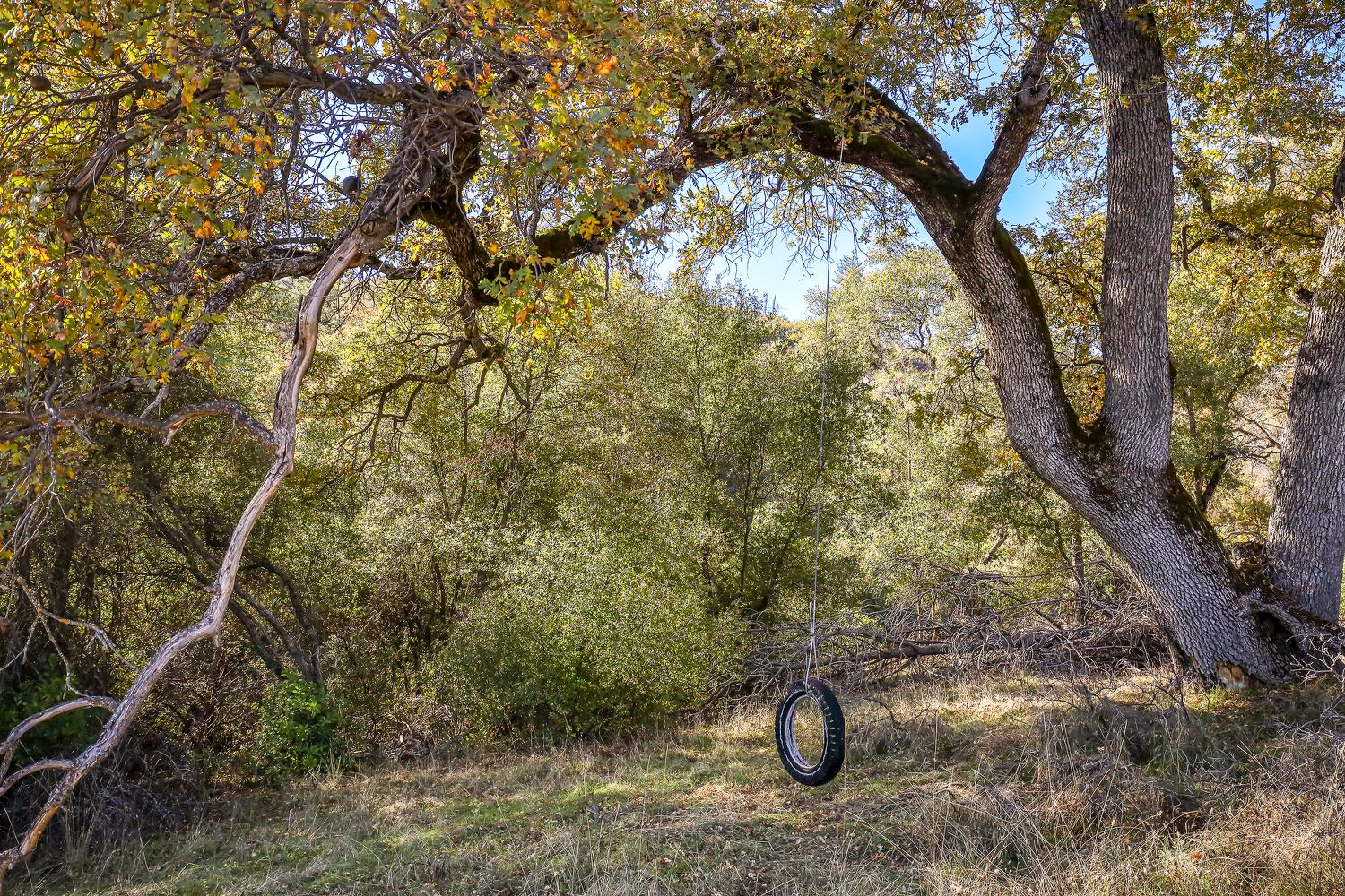 6612 Michel Road Mountain Ranch, CA 95246 - Photo 47 of 78