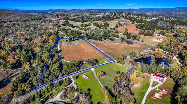 a black and white photo of a picture