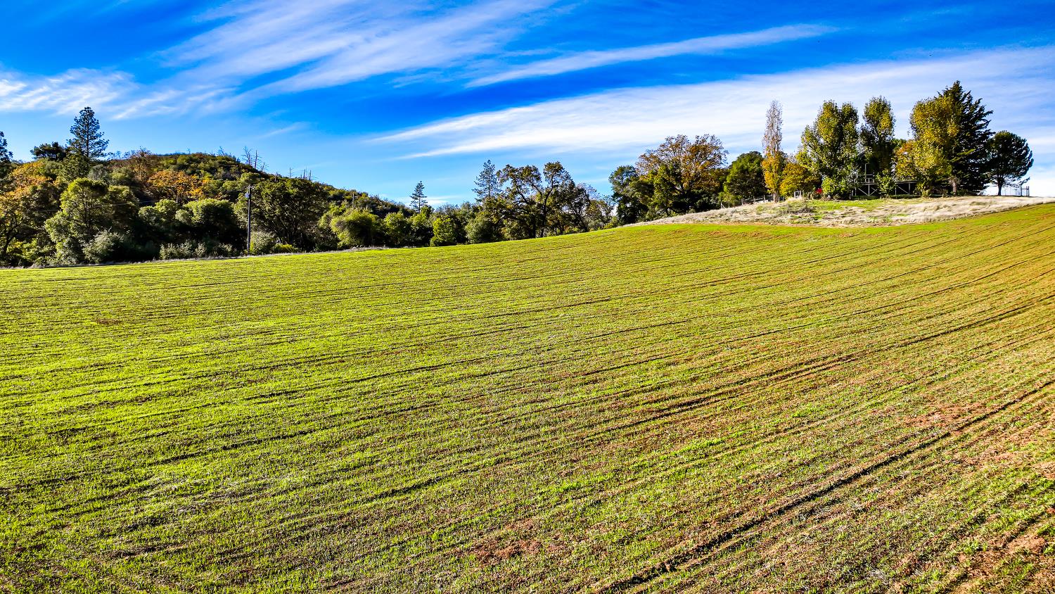 6612 Michel Road Mountain Ranch, CA 95246 - Photo 68 of 78