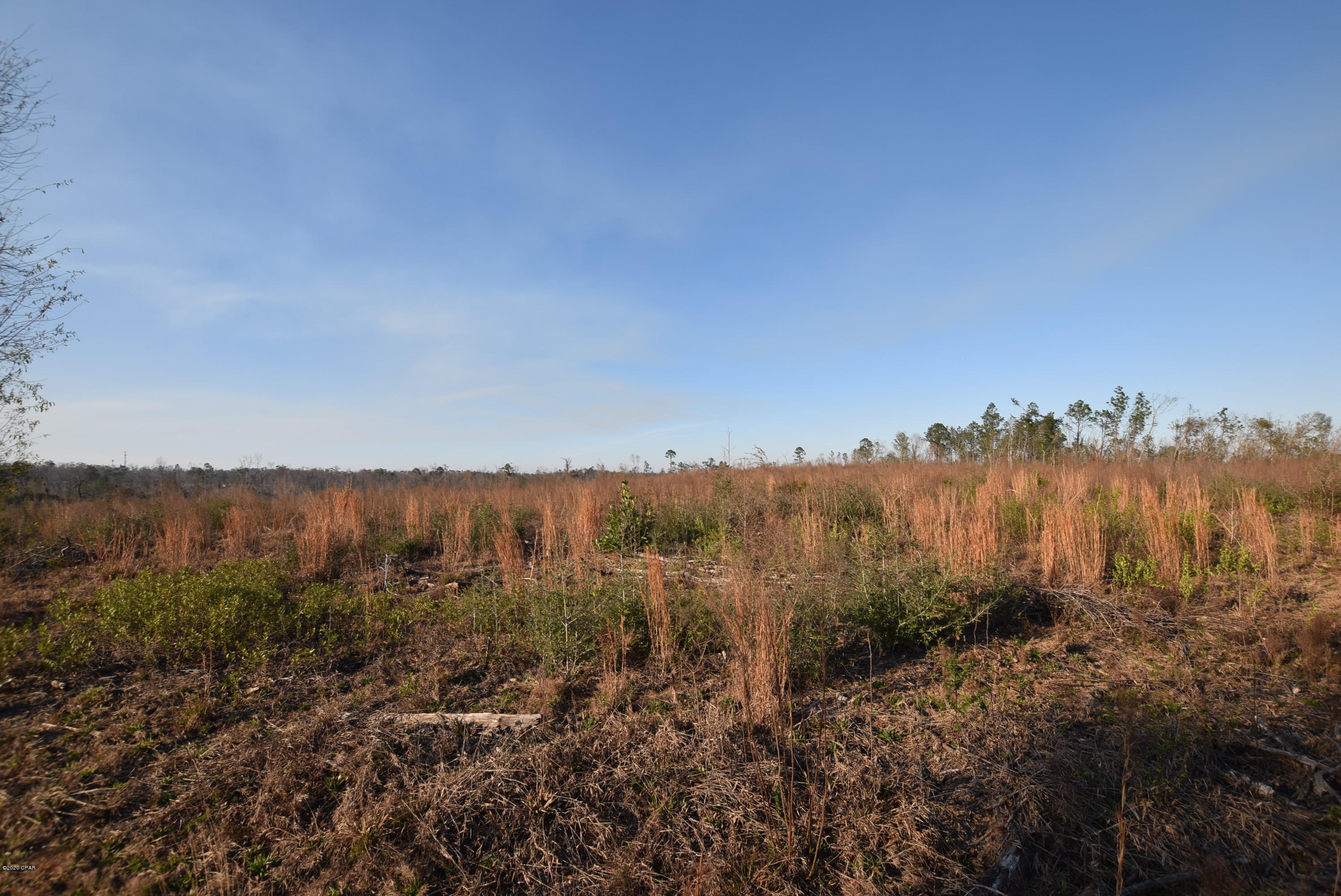 1416 Mill Road Alford, FL 32420 - Photo 44 of 60