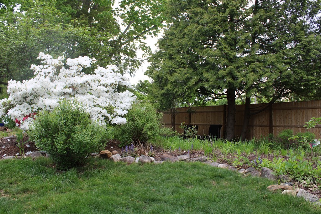1 Meadowbrook Road Hudson, MA 01749 - Photo 35 of 36 a backyard of a house with lots of green space