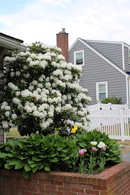 1 Meadowbrook Road Hudson, MA 01749 - Photo 36 of 36 a view of a garden with plants