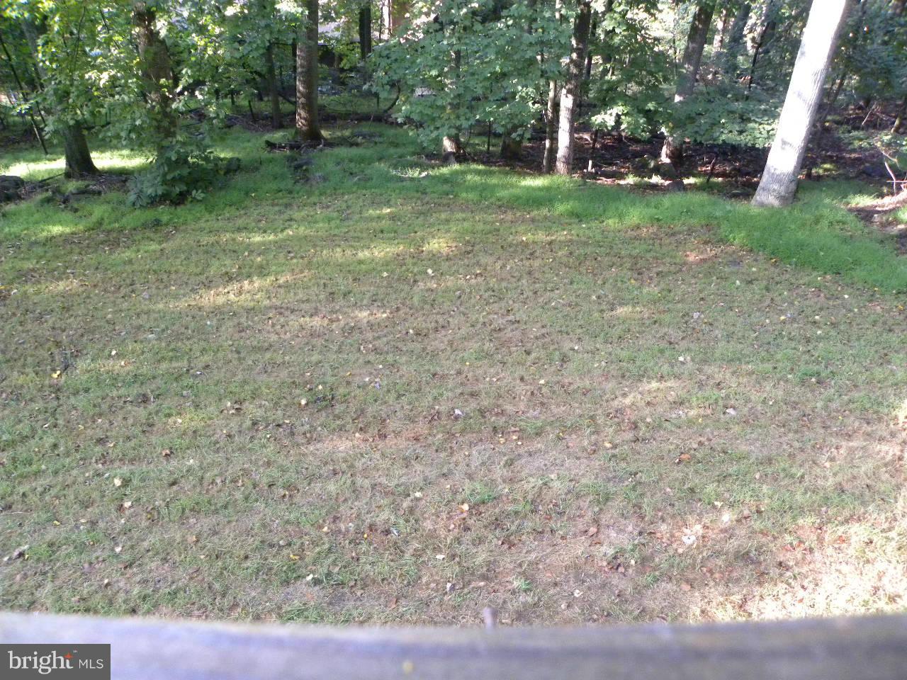 153 Salt Lick Road Front Royal, VA 22630 - Photo 14 of 17 View from deck...