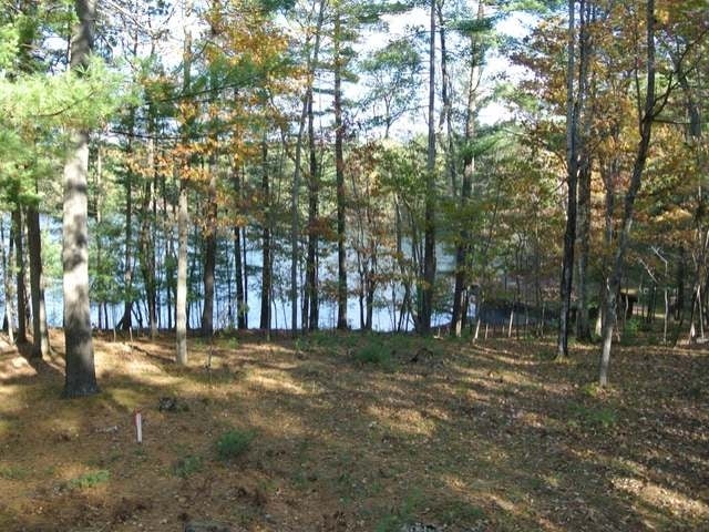 Lot 3 Streater Road Minocqua, WI 54548 - Photo 7 of 19 Gallery Image 7