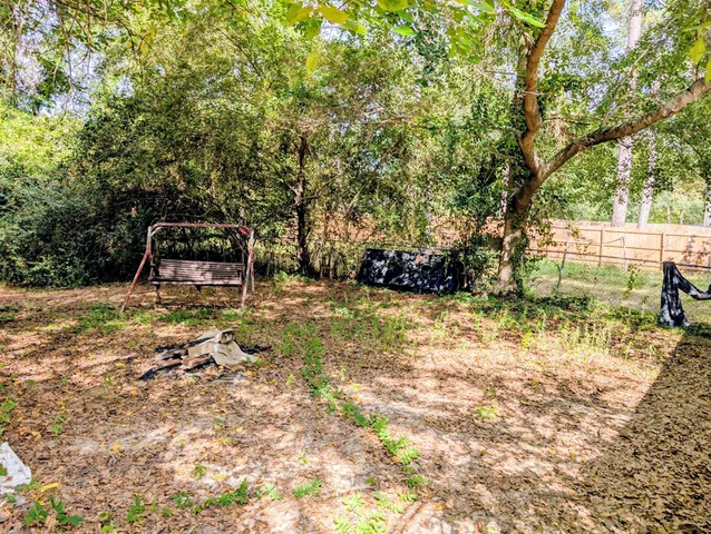 a view of a yard with plants