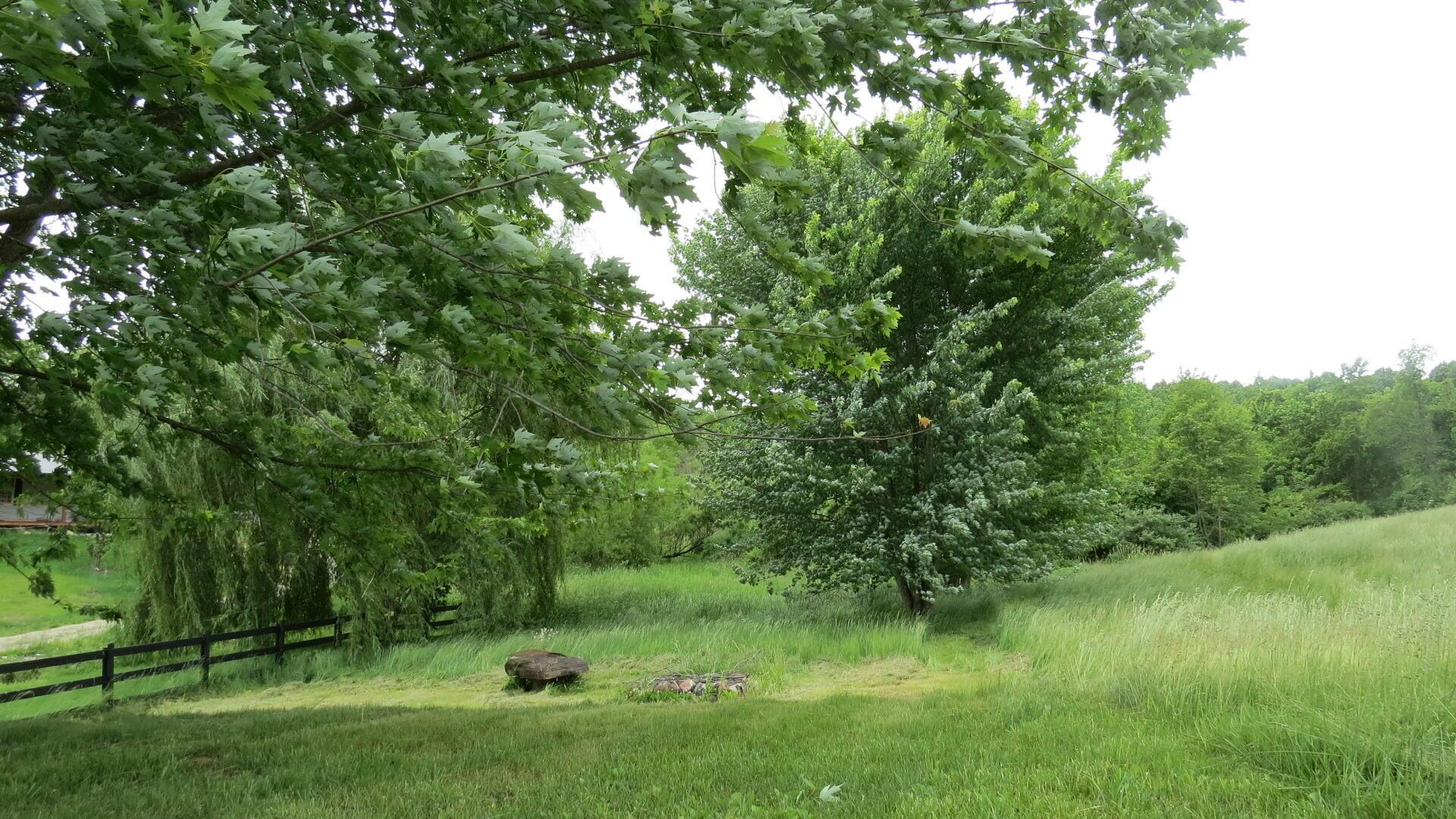 4311 Pine Grove Road Southwest Amanda, OH 43102 - Photo 13 of 43 IMG_7004