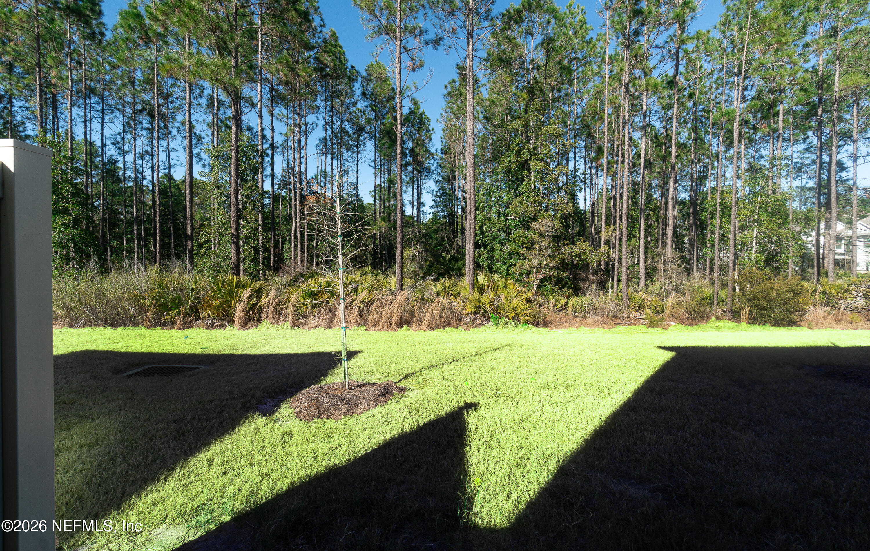 7662 Merchants Way Jacksonville, FL 32222 - Photo 25 of 32 a view of yard with green space